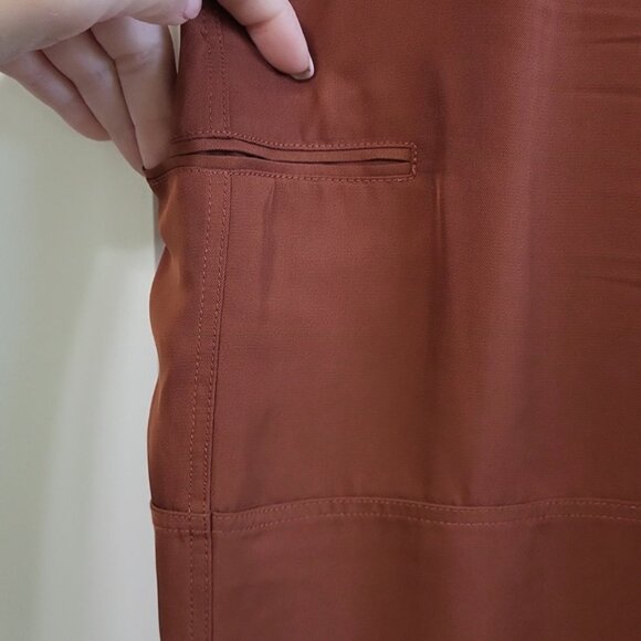 Theory Red Clay Cargo Joggers - Picture 8 of 13